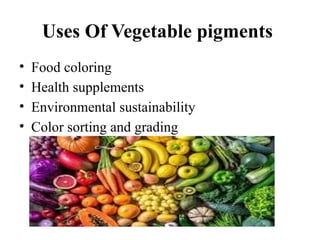 "Exploring Vegetable Pigments & Their Applications" or "Introduction to ...