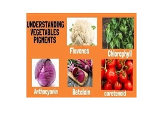 "Exploring Vegetable Pigments & Their Applications" or "Introduction to ...