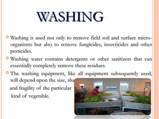WASHINGWASHING
 Washing is used not only to remove field soil and surface micro-Washing is used not only to remove field soil and surface micro-
organisms but also to remove fungicides, insecticides and otherorganisms but also to remove fungicides, insecticides and other
pesticides.pesticides.
 Washing water contains detergents or other sanitizers that canWashing water contains detergents or other sanitizers that can
essentially completely remove these residues.essentially completely remove these residues.
 The washing equipment, like all equipment subsequently used,The washing equipment, like all equipment subsequently used,
will depend upon the size, shapewill depend upon the size, shape
and fragility of the particularand fragility of the particular
kind of vegetable.kind of vegetable.
 