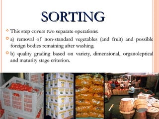 SORTINGSORTING
 This step covers two separate operations:This step covers two separate operations:
 a) removal of non-standard vegetables (and fruit) and possiblea) removal of non-standard vegetables (and fruit) and possible
foreign bodies remaining after washing.foreign bodies remaining after washing.
 b) quality grading based on variety, dimensional, organolepticalb) quality grading based on variety, dimensional, organoleptical
and maturity stage criterion.and maturity stage criterion.
 