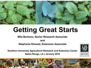 Getting Great Starts
Mila Berhane, Senior Research Associate
and
Stephanie Elwood, Extension Associate
Southern University Agricultural Research and Extension Center
Baton Rouge, LA | January 2016
 