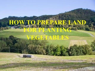 HOW TO PREPARE LAND
FOR PLANTING
VEGETABLES
 