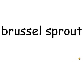 brussel sprout 
