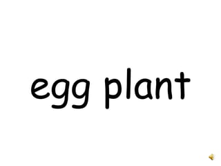 egg plant 