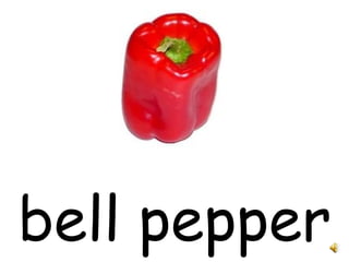 bell pepper 