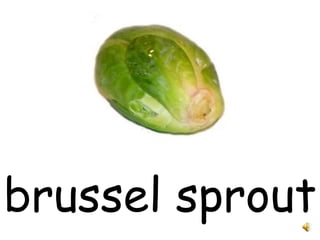 brussel sprout 