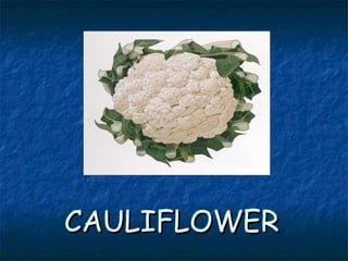 CAULIFLOWERCAULIFLOWER
 