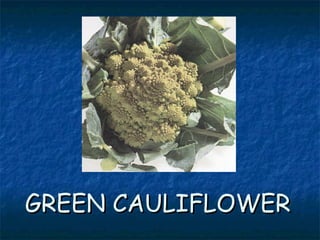 GREEN CAULIFLOWERGREEN CAULIFLOWER
 