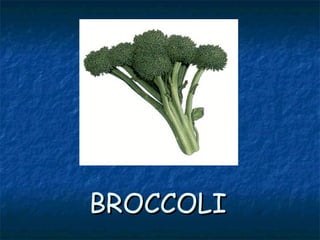 BROCCOLIBROCCOLI
 