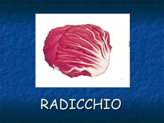 RADICCHIORADICCHIO
 