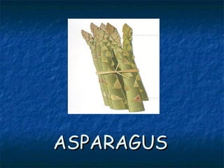 ASPARAGUSASPARAGUS
 