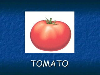 TOMATOTOMATO
 