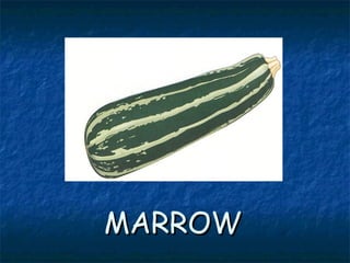 MARROWMARROW
 