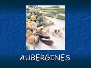 AUBERGINESAUBERGINES
 