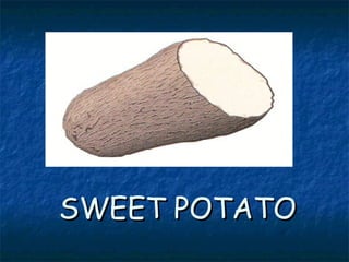 SWEET POTATOSWEET POTATO
 