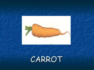 CARROTCARROT
 