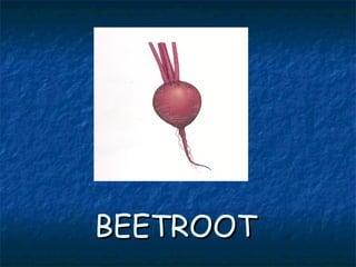 BEETROOTBEETROOT
 