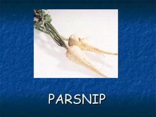 PARSNIPPARSNIP
 