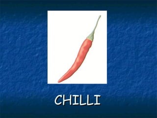 CHILLICHILLI
 