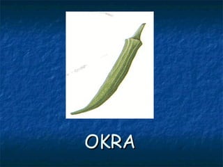 OKRAOKRA
 