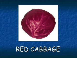 RED CABBAGERED CABBAGE
 