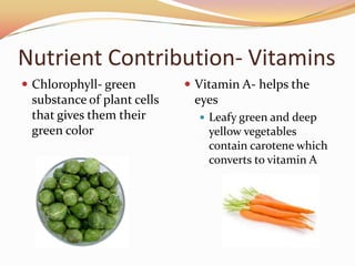 Nutrient Contribution- VitaminsChlorophyll- green substance of plant cells that gives them their green colorVitamin A- helps the eyesLeafy green and deep yellow vegetables contain carotene which converts to vitamin A
