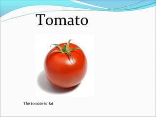 Tomato




The tomato is fat
 