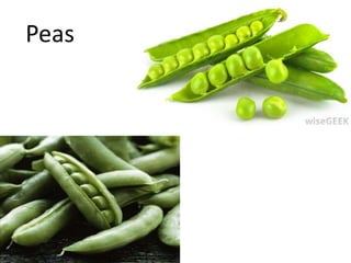 Peas
 