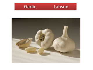 Garlic Lahsun
 