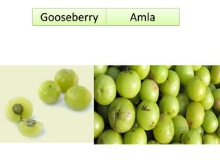 Gooseberry Amla
 