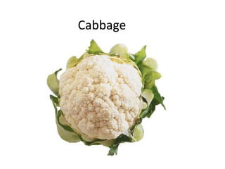 Cabbage
 