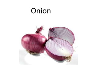 Onion
 