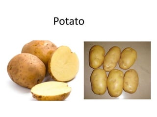 Potato
 
