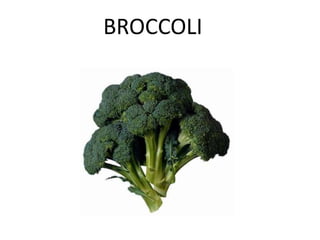 BROCCOLI
 