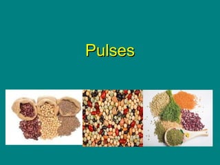 Culinary Essentials
Copyright © Glencoe/McGraw-Hill,
a division of The McGraw-Hill Companies, Inc.
PulsesPulses
 