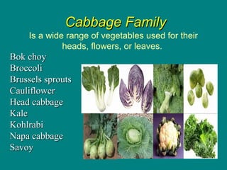 Culinary Essentials
Copyright © Glencoe/McGraw-Hill,
a division of The McGraw-Hill Companies, Inc.
Cabbage FamilyCabbage Family
Is a wide range of vegetables used for their
heads, flowers, or leaves.
Bok choyBok choy
BroccoliBroccoli
Brussels sproutsBrussels sprouts
CauliflowerCauliflower
Head cabbageHead cabbage
KaleKale
KohlrabiKohlrabi
Napa cabbageNapa cabbage
SavoySavoy
 