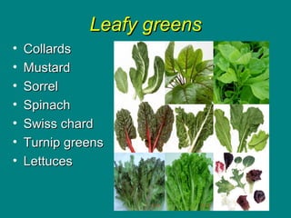 Leafy greensLeafy greens
• CollardsCollards
• MustardMustard
• SorrelSorrel
• SpinachSpinach
• Swiss chardSwiss chard
• Turnip greensTurnip greens
• LettucesLettuces
 
