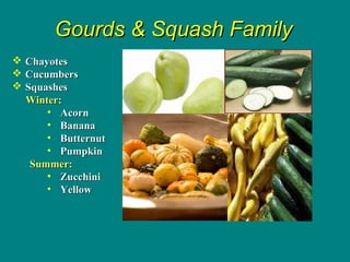 Gourds &Gourds & Squash FamilySquash Family
 ChayotesChayotes
 CucumbersCucumbers
 SquashesSquashes
Winter:Winter:
• AcornAcorn
• BananaBanana
• ButternutButternut
• PumpkinPumpkin
Summer:Summer:
• ZucchiniZucchini
• YellowYellow
 