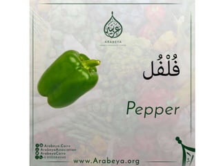 Vegetables names in Arabic language