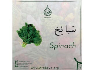 Vegetables names in Arabic language