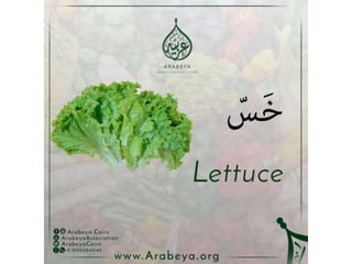 Vegetables names in Arabic language