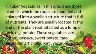 7. Tuber Vegetables In this group are those
plants in which the roots are modified and
enlarged into a swollen structure that is full
of nutrients. They are usually located at the
end of the plant root attached as a lump of
rock, e.g. potato. These vegetables are
potato, cassava, sweet potato, taro,
Jerusalem artichoke, yam, yacon, kumara,
etc.
 