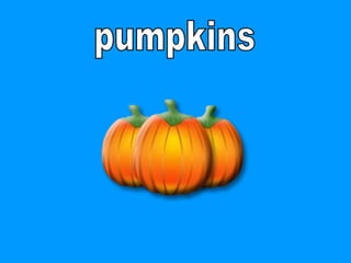 pumpkins 