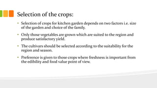 Selection of the crops:
• Selection of crops for kitchen garden depends on two factors i.e. size
of the garden and choice of the family.
• Only those vegetables are grown which are suited to the region and
produce satisfactory yield.
• The cultivars should be selected according to the suitability for the
region and season.
• Preference is given to those crops where freshness is important from
the edibility and food value point of view.
 
