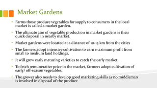 Market Gardens
• Farms those produce vegetables for supply to consumers in the local
market is called a market garden.
• The ultimate aim of vegetable production in market gardens is their
quick disposal in nearby market.
• Market gardens were located at a distance of 10-15 km from the cities
• The farmers adopt intensive cultivation to earn maximum profit from
small to medium land holdings.
• It will grow early maturing varieties to catch the early market.
• To fetch remunerative price in the market, farmers adopt cultivation of
early/ off-season vegetables.
• The grower also needs to develop good marketing skills as no middleman
is involved in disposal of the produce
 