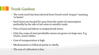 Trunk Gardens
• The word truck has been derived from French word ‘troquer’ meaning
‘to barter’.
• Such farms are located far away from the center of consumption
preferably by the side of rail route or metallic roads.
• Price of land and labour is comparatively lower.
• Only few crops of semi perishable nature are grown on large area. E.g.
Onion, Green chilies.
• Cost of transportation is high.
• Mechanization is followed partly or wholly.
• The cost of cultivation is less.
 