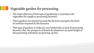 Vegetable garden for processing
• The main objective of this type of gardening is to produce the
vegetables for supply to processing factories.
• These gardens are situated around the factories and grow the kind
of varieties required by the factories.
• This type of gardens in India are very limited due to lack of processing
factories. But, the prospects of future development are quite bright as
the processing industries are growing up fast.
 
