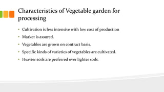 Characteristics of Vegetable garden for
processing
• Cultivation is less intensive with low cost of production
• Market is assured.
• Vegetables are grown on contract basis.
• Specific kinds of varieties of vegetables are cultivated.
• Heavier soils are preferred over lighter soils.
 