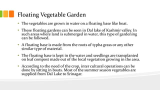 Floating Vegetable Garden
• The vegetables are grown in water on a floating base like boat.
• These floating gardens can be seen in Dal lake of Kashmir valley. In
such areas where land is submerged in water, this type of gardening
can be followed.
• A floating base is made from the roots of typha grass or any other
similar type of material.
• The floating base is kept in the water and seedlings are transplanted
on leaf compost made out of the local vegetation growing in the area.
• According to the need of the crop, inter cultural operations can be
done by sitting in boats. Most of the summer season vegetables are
supplied from Dal Lake to Srinagar.
 