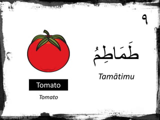 Bahasa arab tomato